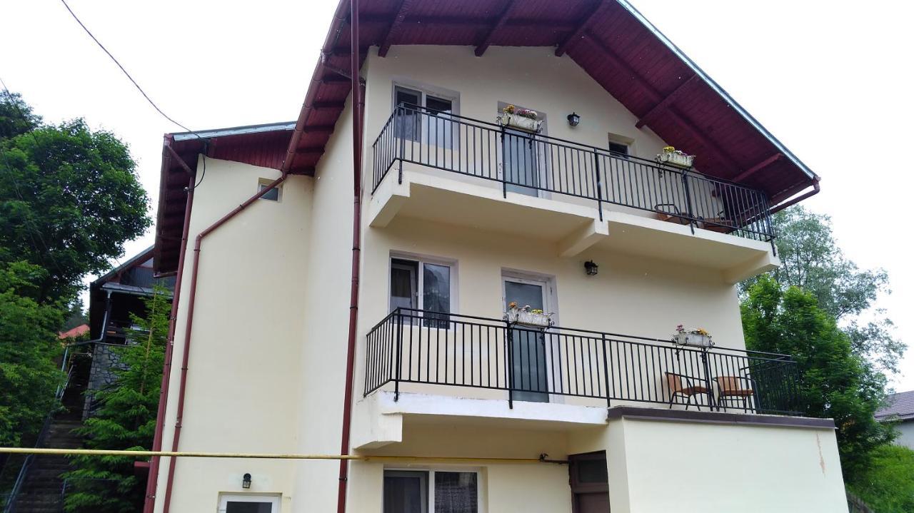 Casa Zura Hotel Busteni Exterior photo